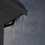 IMG_4947-01-600