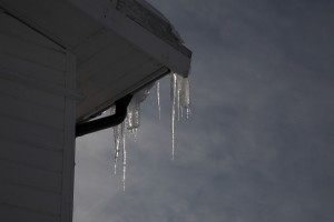 IMG_4947-01-600