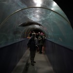 IMG_5064-01-600
