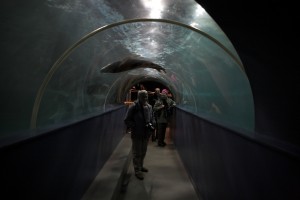 IMG_5064-01-600