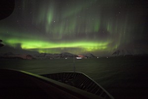 IMG_5273-01-600
