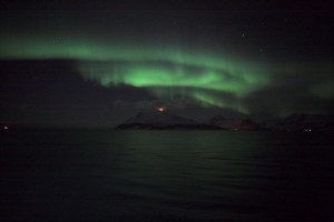 IMG_5289-01-600