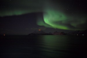 IMG_5304-02-600