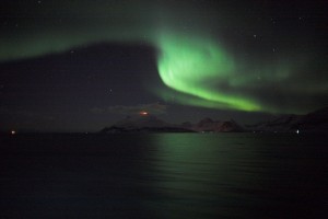 IMG_5308-01-600