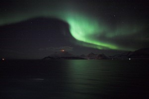 IMG_5310-01-600