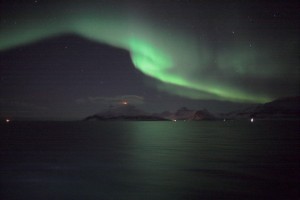 IMG_5313-01-600