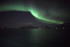 IMG_5317-01-600