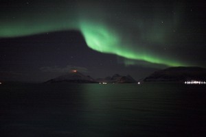 IMG_5325-01-600