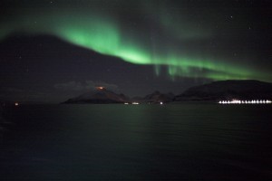 IMG_5333-01-600