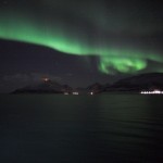 IMG_5337-01-600