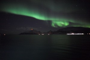 IMG_5337-01-600