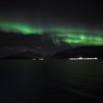 IMG_5342-01-600