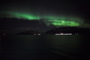 IMG_5342-01-600