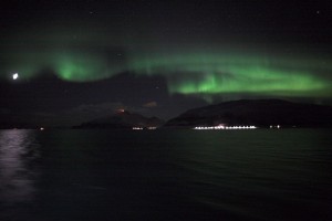 IMG_5347-01-600