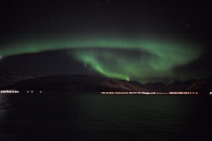 IMG_5372-01-600