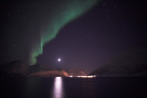 IMG_5417-01-600