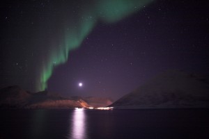 IMG_5420-01-600