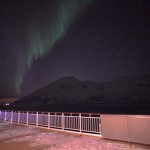 IMG_5442-01-600
