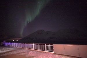 IMG_5442-01-600