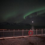 IMG_5497-01-600