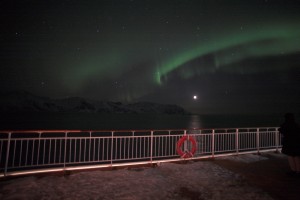 IMG_5497-01-600
