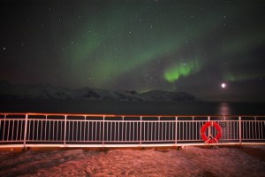 IMG_5511-01-600