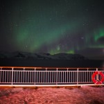 IMG_5515-01-600