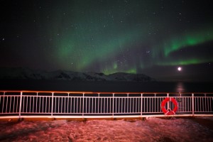 IMG_5515-01-600