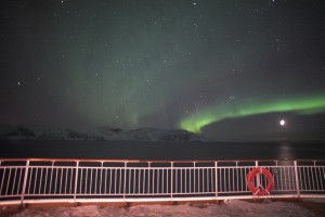 IMG_5535-01-600