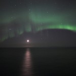 IMG_5539-02-cropped2-600