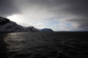 IMG_5591-01-600