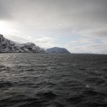 IMG_5593-01-600