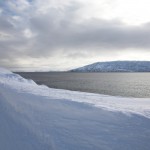 IMG_5635-01-600