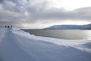 IMG_5635-01-600