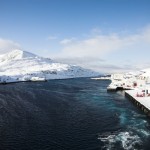 IMG_5668-01-600