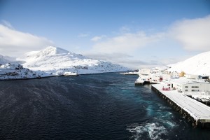 IMG_5668-01-600