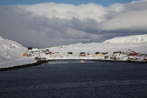 IMG_5672-01-600