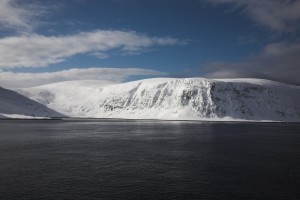 IMG_5678-01-600