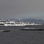 IMG_5687-01-cropped-600