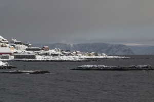 IMG_5687-01-cropped-600