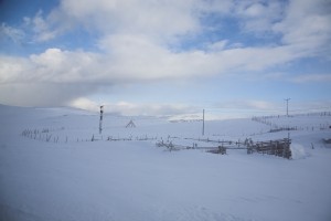 IMG_5713-01-600