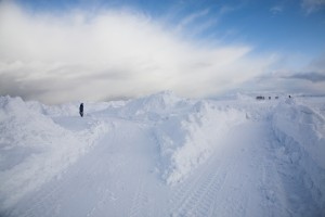 IMG_5716-01-600