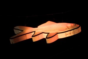 Börse Frankfurt Luminale 2008
