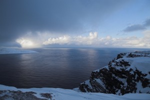 IMG_5854-01-600