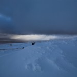 IMG_5860-01-600