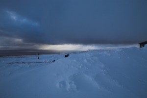 IMG_5860-01-600