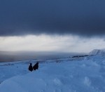 Am Nordkap / At the Northcape