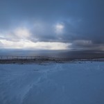IMG_5862-01-600