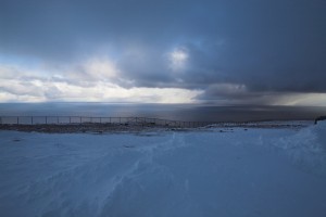 IMG_5862-01-600