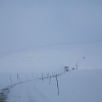 IMG_5895-01-600